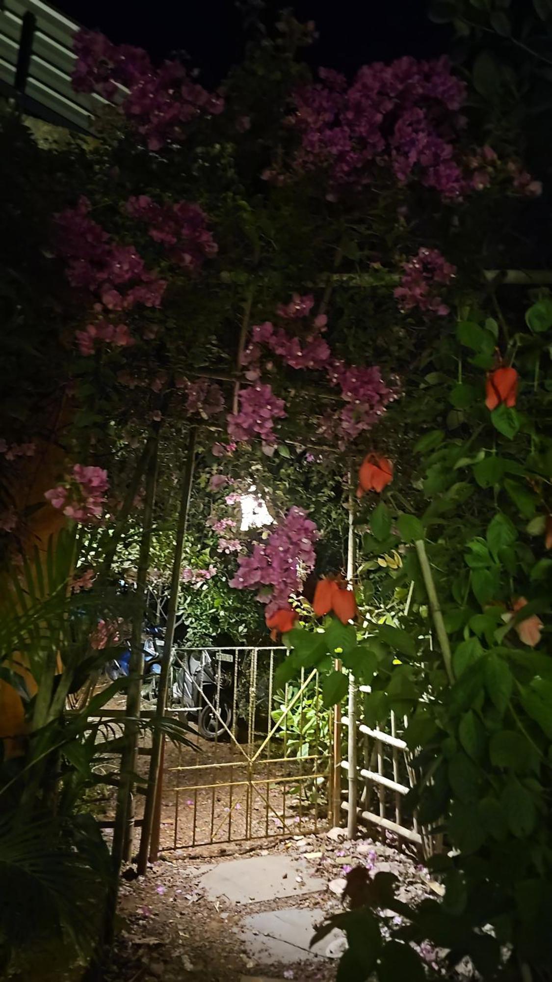 Laxmi Happy Home In Querim Goa Exterior photo